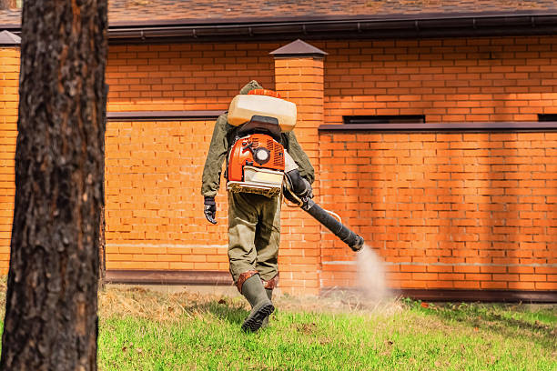 Trusted Termite Control service in Stillwater, OK - Nex Pest Control